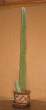 Tall.jpg