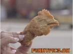 chicken.jpg