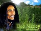 bob_marley_1.jpg