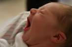 Baby.jpg