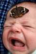 Butterfly.jpg