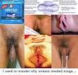 Always Maxi Pads with Wings [18+].jpg
