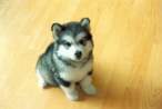 Puppy.jpg
