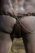 Secured [18+].jpg