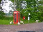 phone queue.jpg