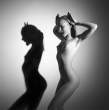 Shadow [18+].jpg