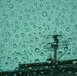 Drops.jpg