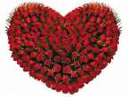 100 heart shape roses.jpg