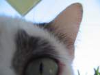 Curiosity.jpg