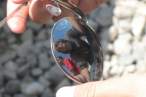 Reflective Lens.jpg