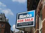 Blacks for Sale.jpg