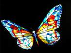 Butterfly.jpg