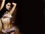 Kelly-Hu-59.JPG