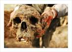 Skull.jpg