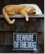 Beware.jpg