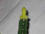 Dick.jpg