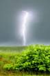 Thunder.jpg