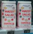 Water Salad.jpg