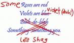 Redneck Pickup Line Poem.jpg