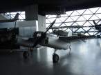 DSC00347.jpg