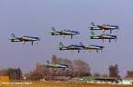 fidae5.jpg