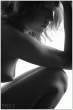 Shadow [18+].jpg