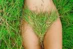 Grass [18+].jpg