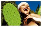 Cactus.jpg