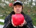 Apple.jpg