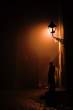 Street light.jpg