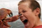 Bite.jpg