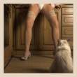 Pussy [18+].jpg