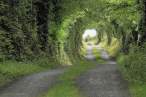 Road.jpg