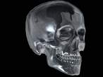 Steel skull.jpg