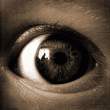 Eye.jpg