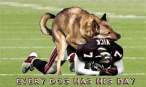 Every Dog Has His Day.jpg