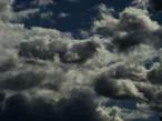 DSC00916.jpg