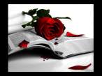 Blood Rose.jpg