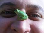 Frog.jpg