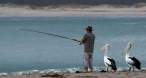 Fisherman's friends.jpg