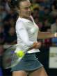 MartinaHingis1a.jpg