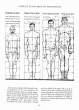 (eBook - English) Andrew Loomis - Figure Drawing - For All It's Worth_Page_021_Image_0001.jpg