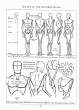 (eBook - English) Andrew Loomis - Figure Drawing - For All It's Worth_Page_033_Image_0001.jpg