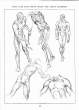 (eBook - English) Andrew Loomis - Figure Drawing - For All It's Worth_Page_059_Image_0001.jpg