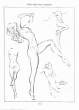 (eBook - English) Andrew Loomis - Figure Drawing - For All It's Worth_Page_128_Image_0001.jpg