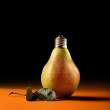 Bulb.jpg