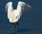 Walk on the water.jpg