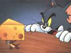 tom & jerry.jpg