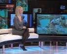 Irina Vukotic nove (8).jpg