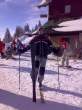 26012007179.jpg